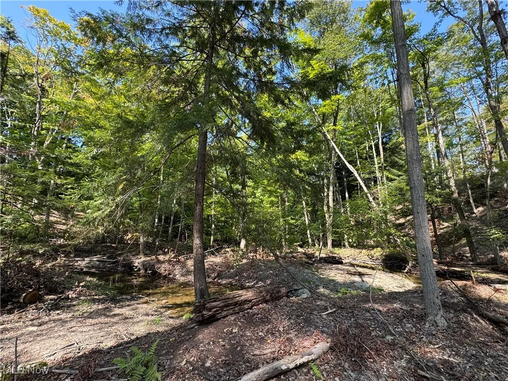 V/L 3 Sidley Road, Thompson, Ohio 44086,MLS Now Listing ID