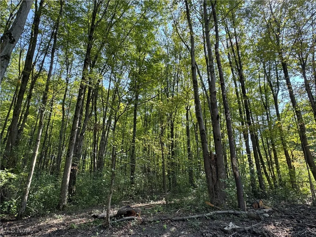 V/L 3 Sidley Road, Thompson, Ohio 44086,MLS Now Listing ID