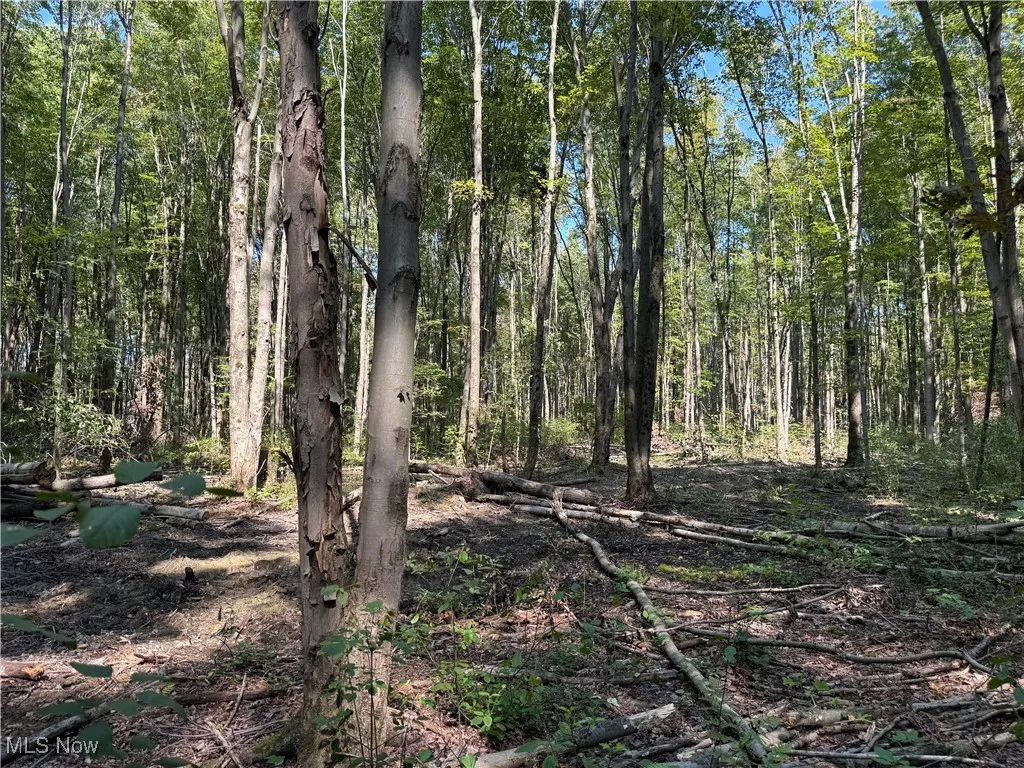 V/L 3 Sidley Road, Thompson, Ohio 44086,MLS Now Listing ID