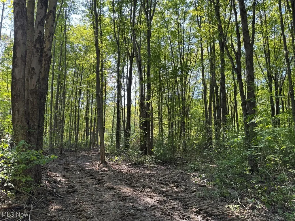 V/L 1 Sidley Road, Thompson, Ohio 44086,MLS Now Listing ID