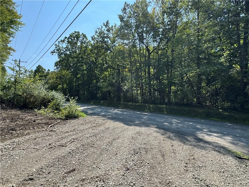 V/L 1 Sidley Road, Thompson, Ohio 44086,MLS Now Listing ID