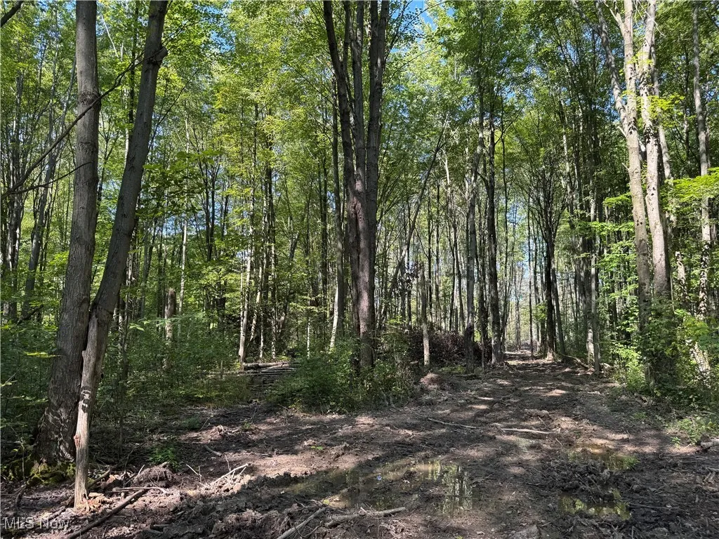 V/L 1 Sidley Road, Thompson, Ohio 44086,MLS Now Listing ID