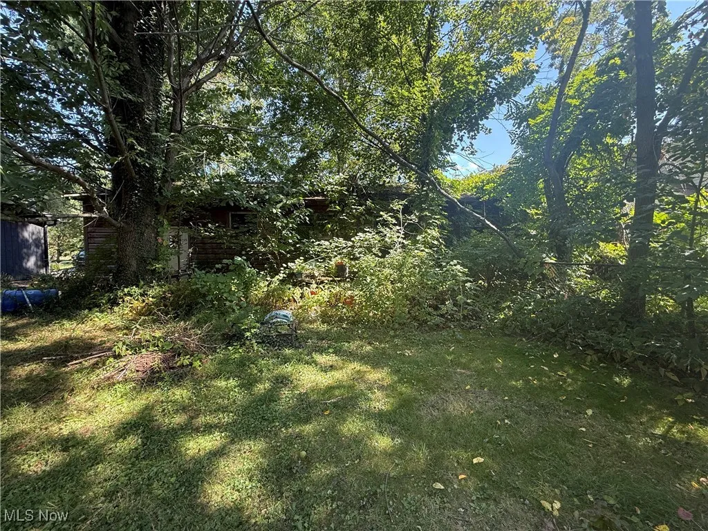 View of grassy yard