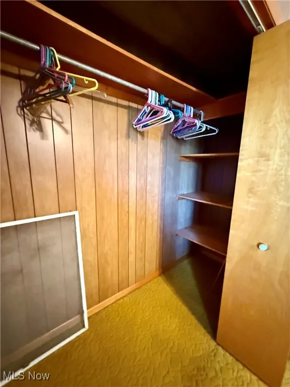 Spacious closet in bedroom