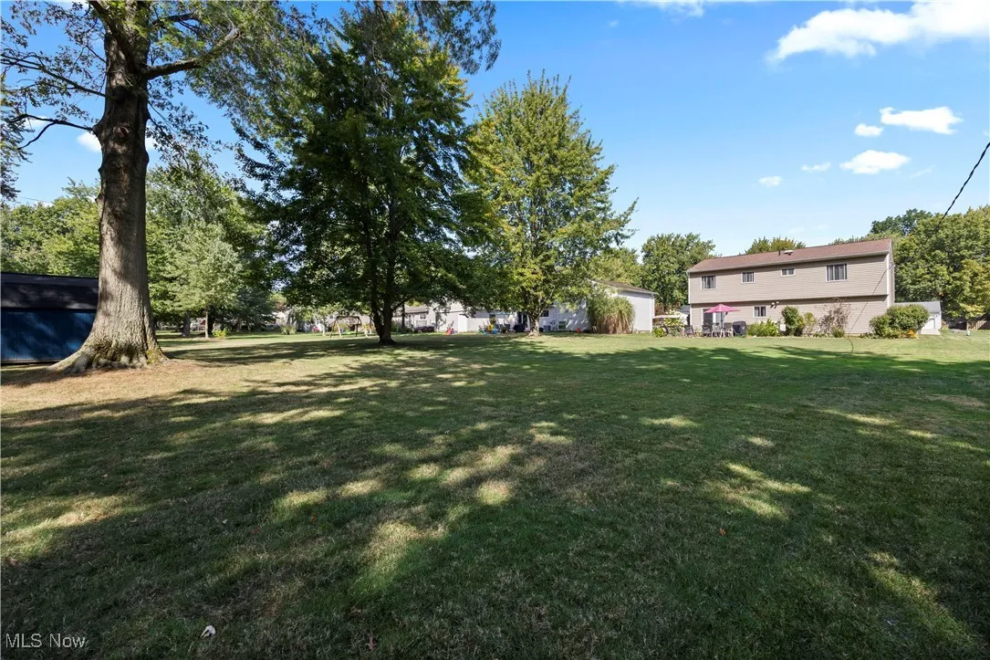 Spacious grassy backyard