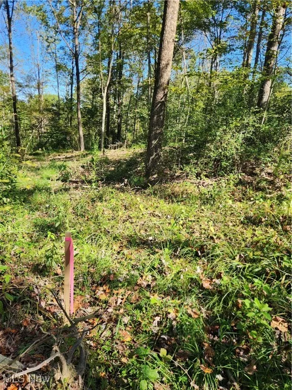 County Rd 7, New Straitsville, Ohio 43138,MLS Now Listing ID