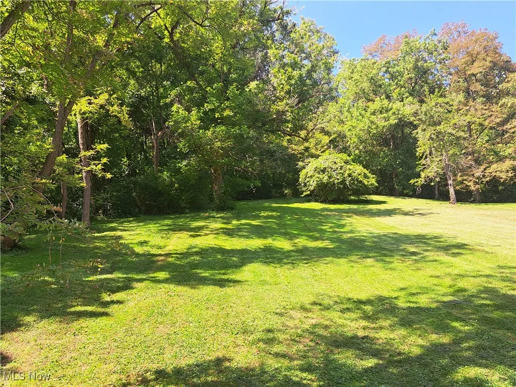 View of grassy yard