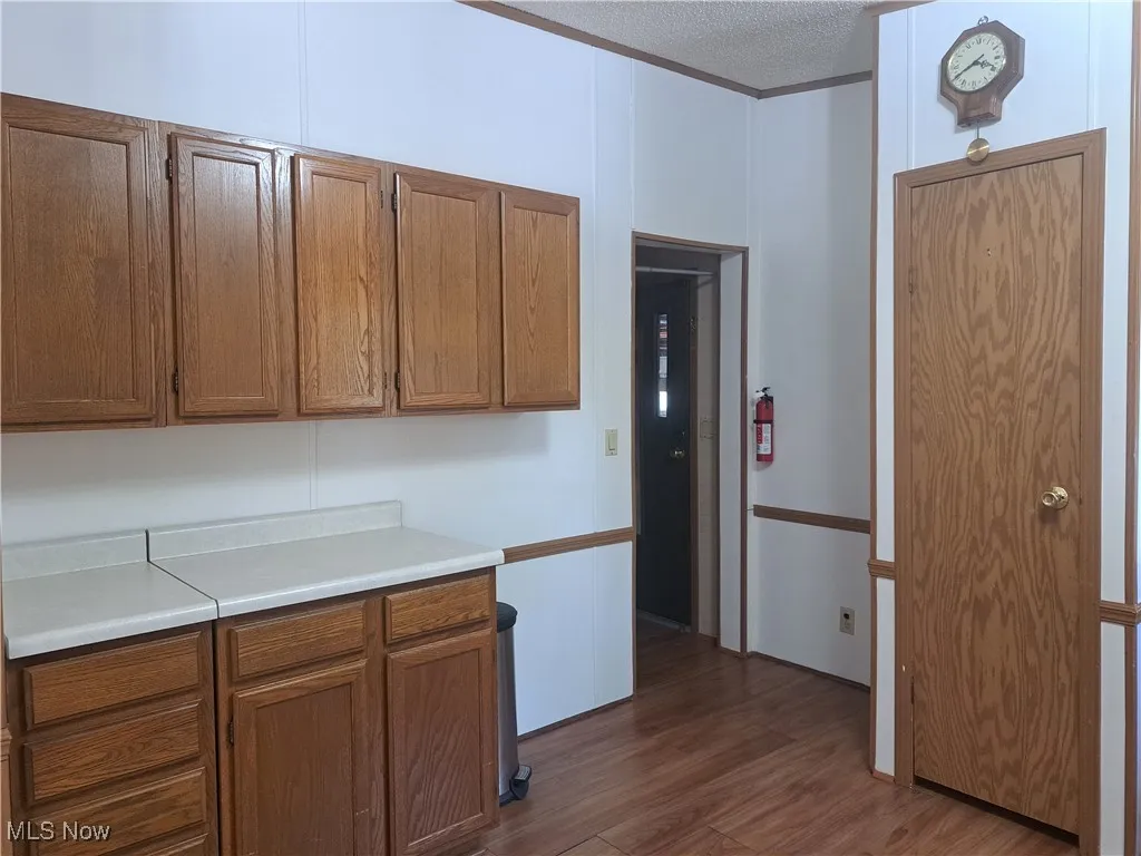 Kitchen with plenty of cabinets and pantry/closet