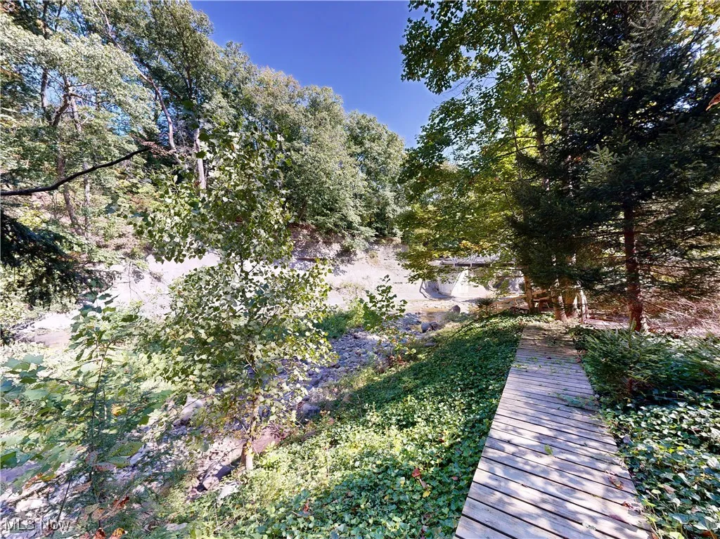 View of yard with a wooded view