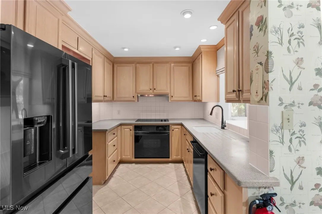 1667 Richmond Road, Lyndhurst, Ohio 44124,MLS Now Listing ID
