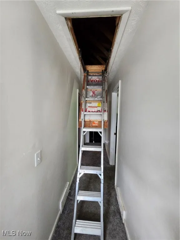Staircase featuring carpet floors and baseboards