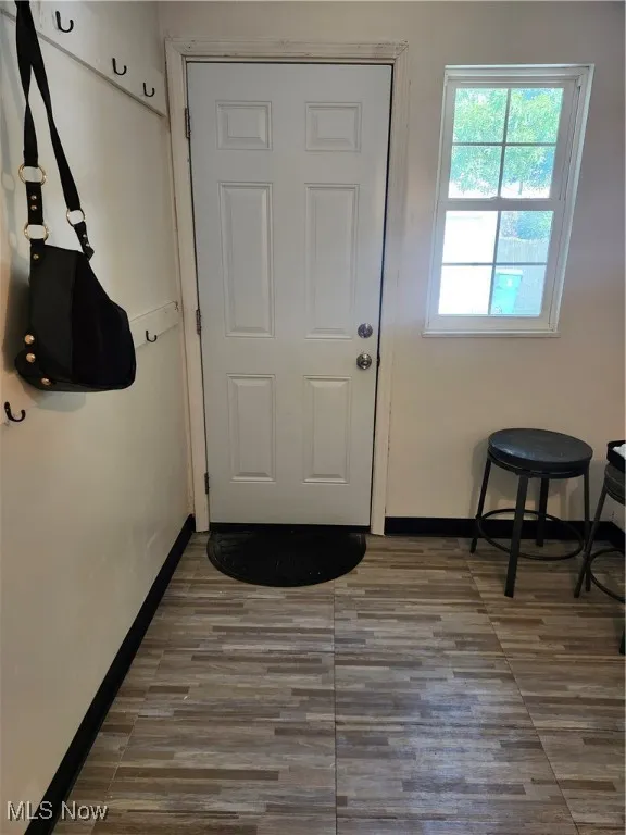Entryway featuring baseboards and wood finished floors