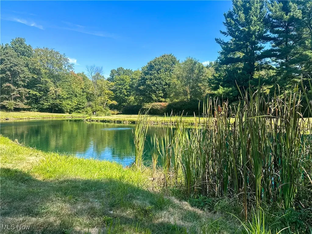 4875 Cadwallader Sonk Road, Vienna, Ohio 44473,MLS Now Listing ID