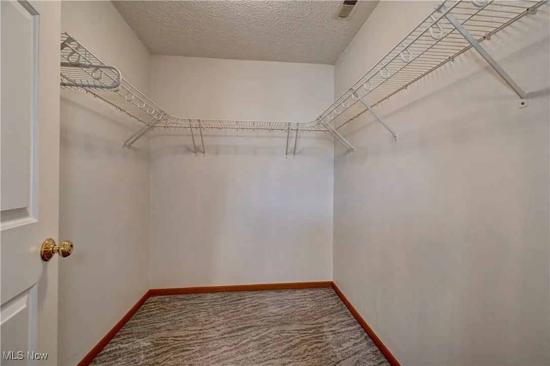 Walk in closet with carpet floors