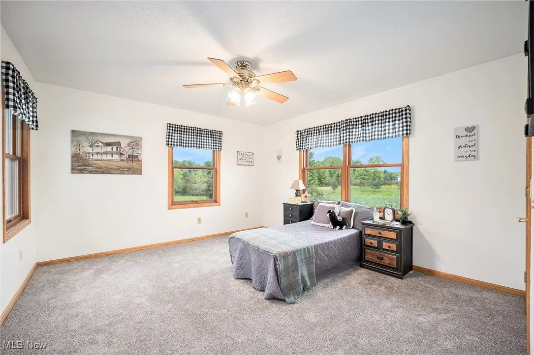 Carpeted bedroom with ceiling fan and baseboards