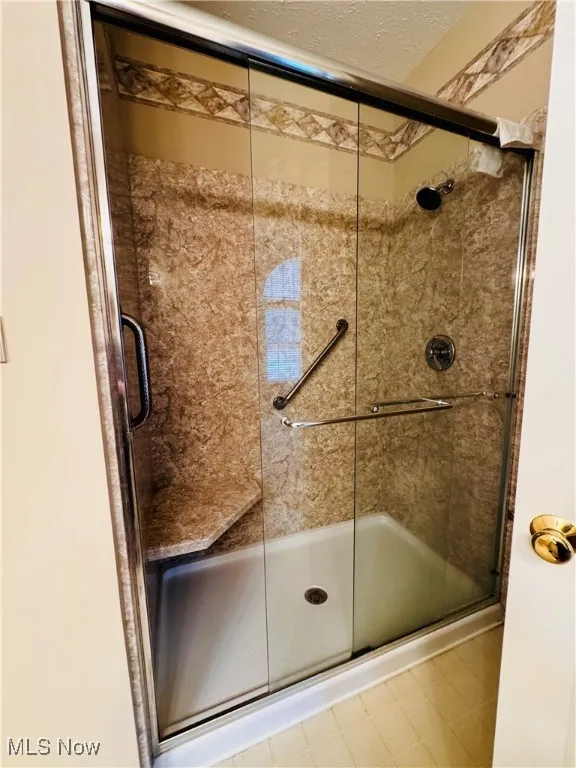 Newer Master Shower with grab bars