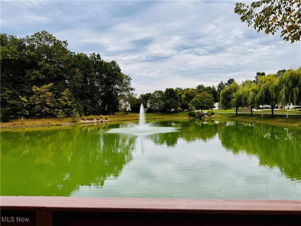 Backyard view