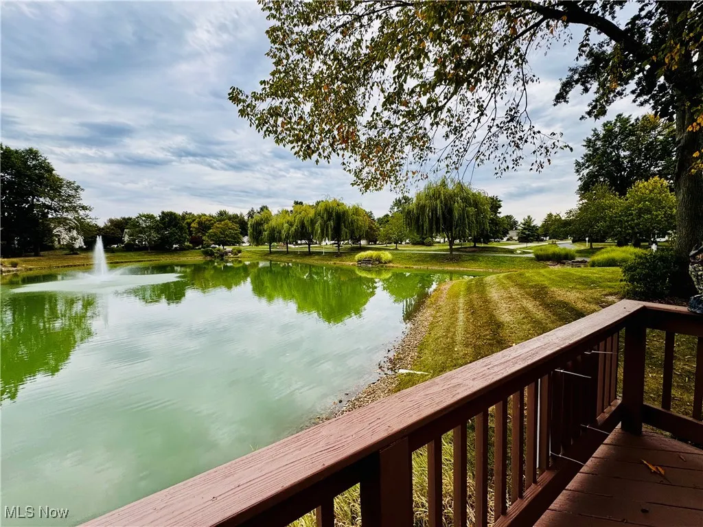 back yard view