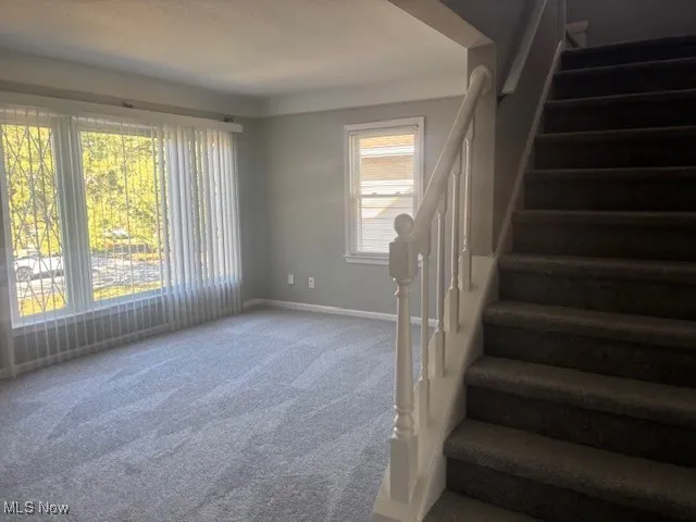 3807 Klusner Avenue, Parma, Ohio 44134,MLS Now Listing ID