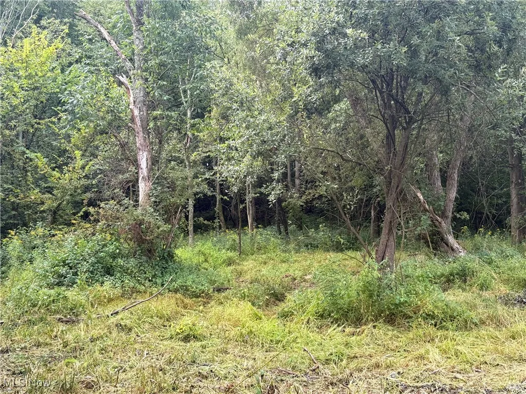 View of woods