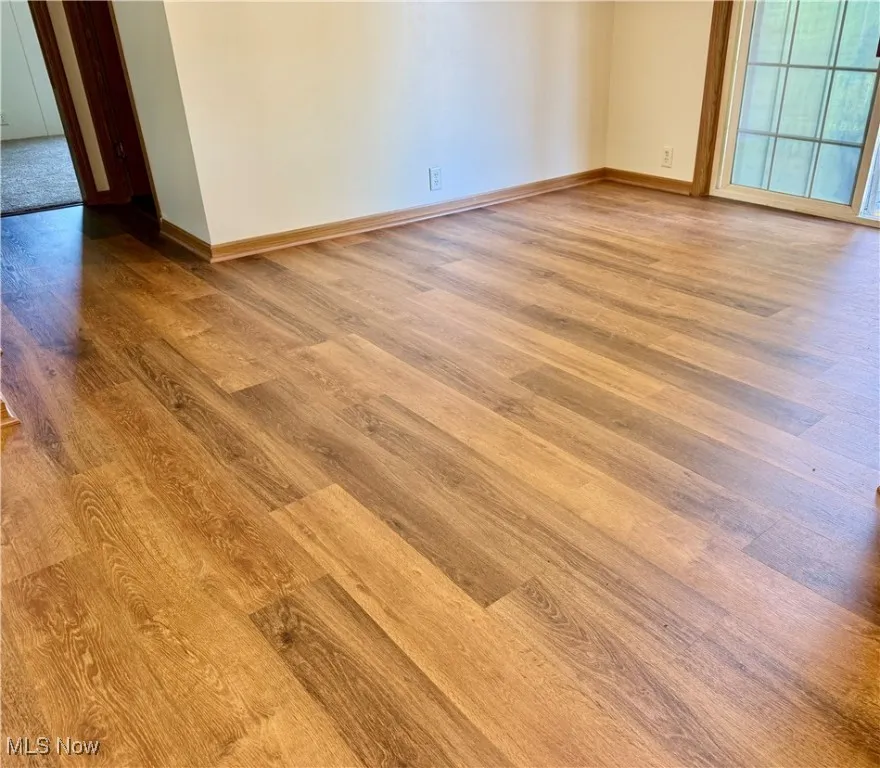 Beautiful New vinyl plank flooring