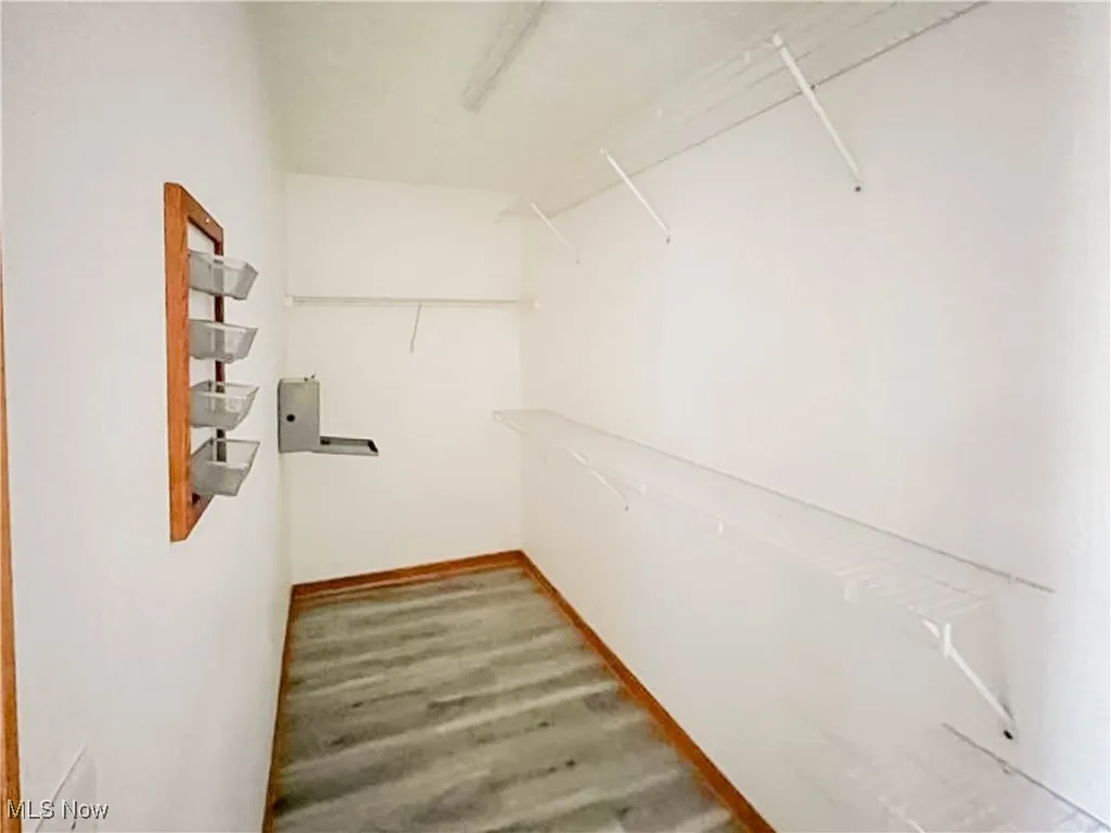Walk in closet with light wood-style laminate flooring