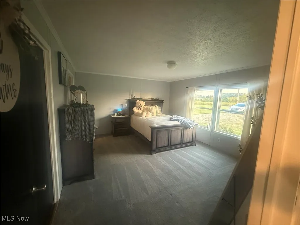 Carpeted bedroom featuring crown molding and a textured ceiling