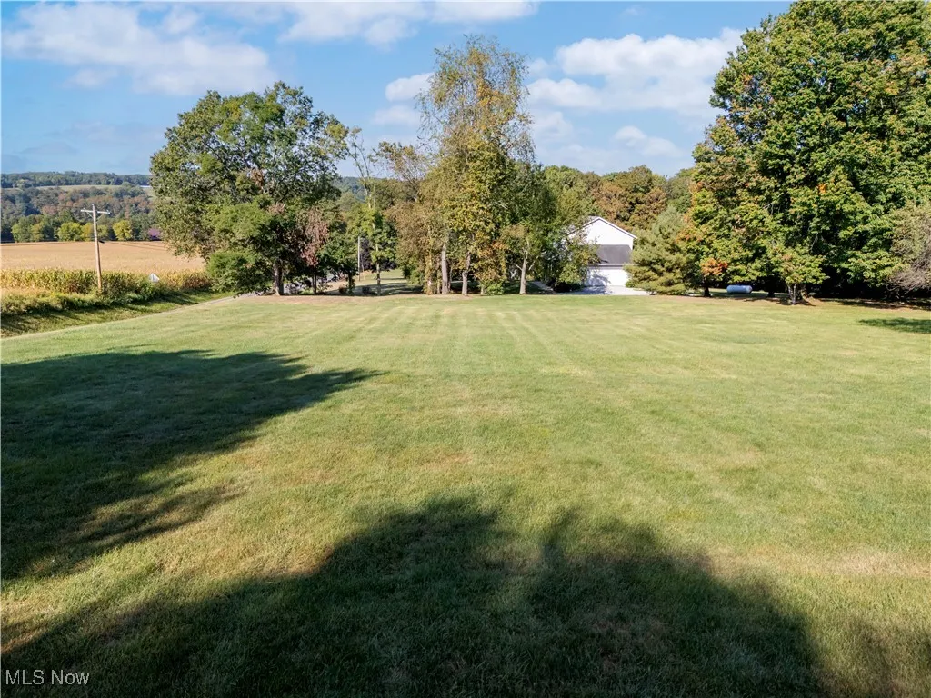 View of grassy yard