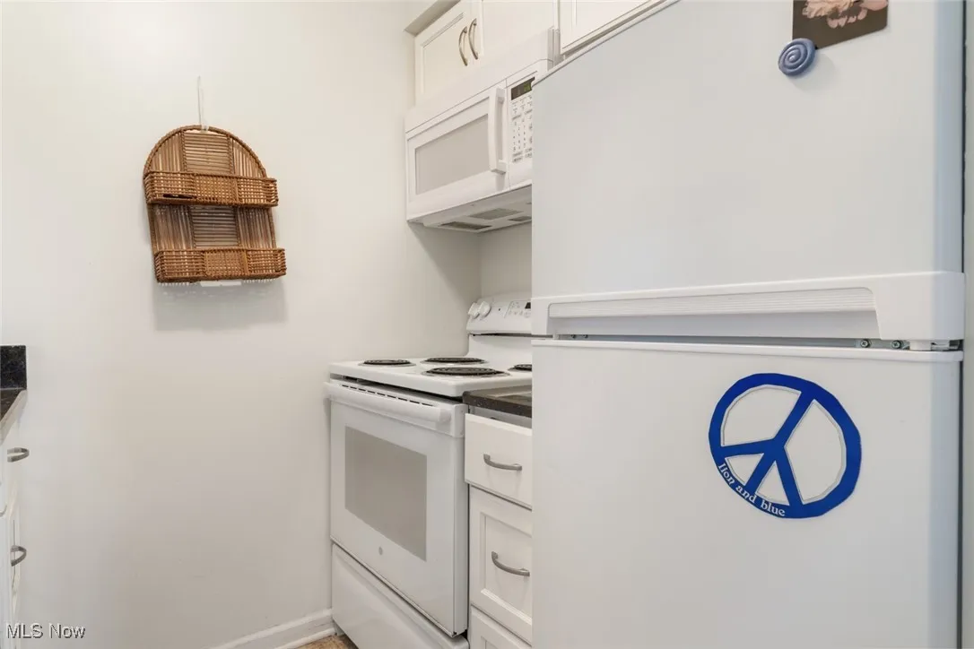 14567 Madison Avenue # 607, Lakewood, Ohio 44107,MLS Now Listing ID
