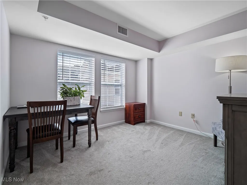 23002 Chandlers Lane # 342, Olmsted Falls, Ohio 44138,MLS Now Listing ID