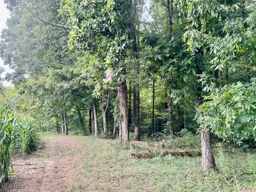 View of undeveloped land