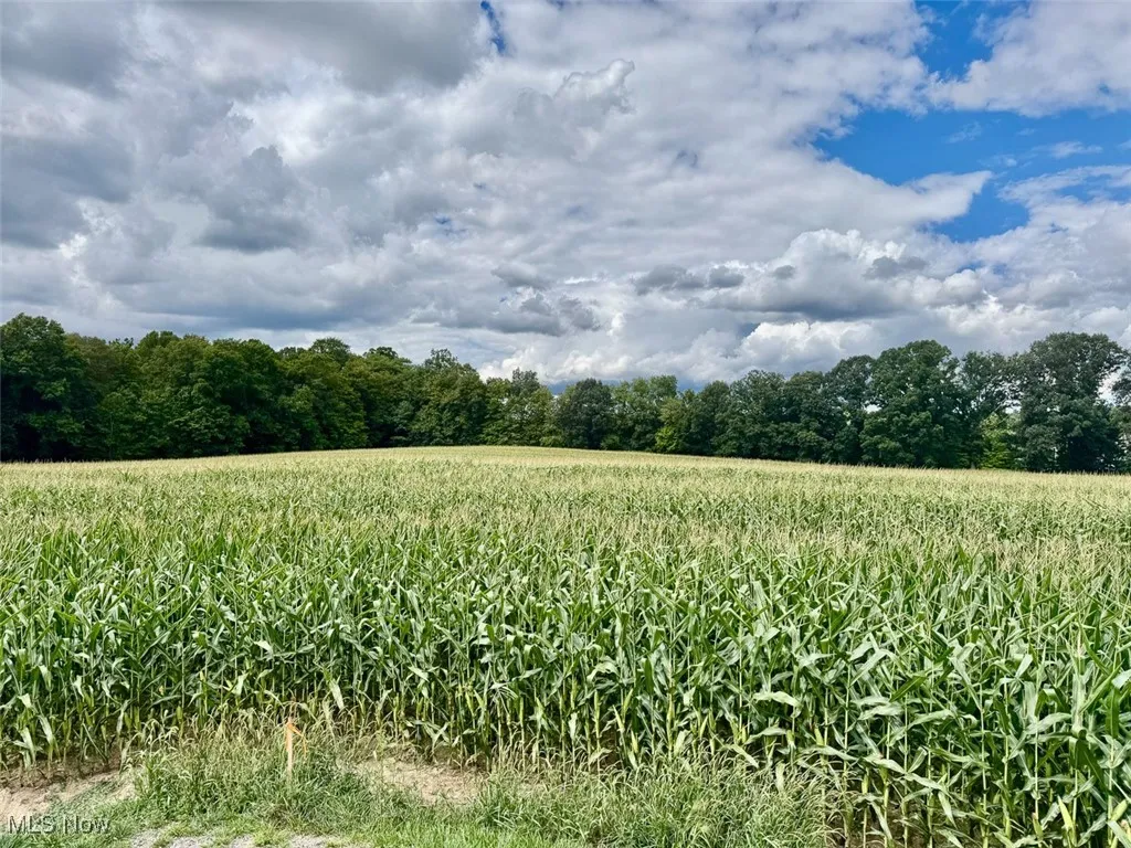 View of local wilderness featuring rural landscape and rows of crops