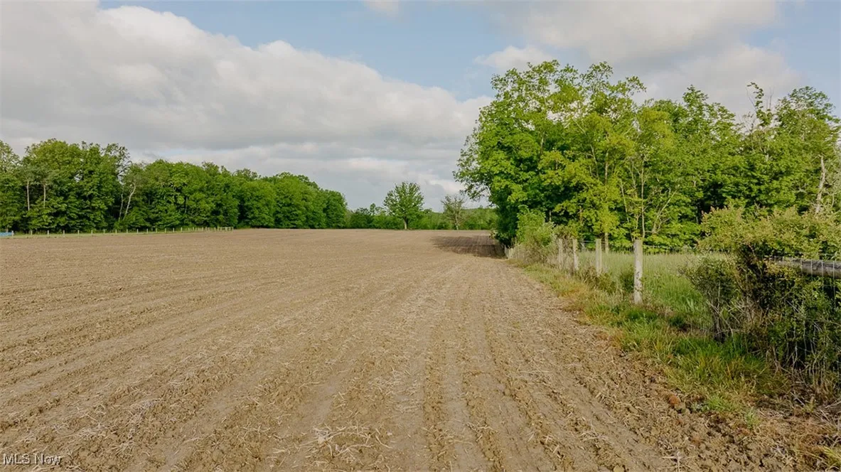 View of road with a view of rural / pastoral area