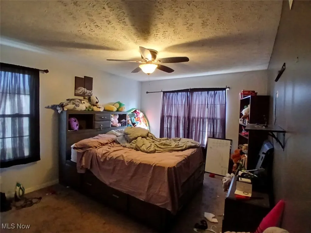 12313 Holborn Avenue, Cleveland, Ohio 44105,MLS Now Listing ID