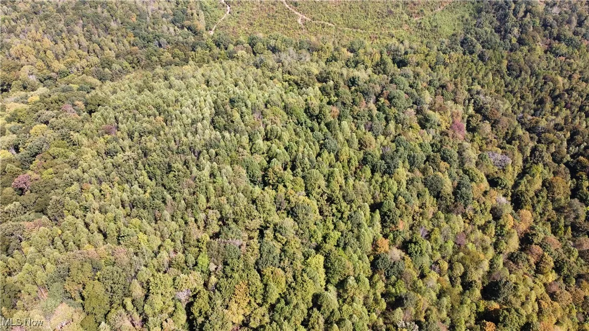 Aerial view of property's location