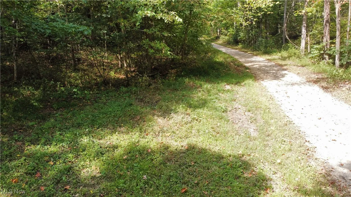 View of street with a forest view