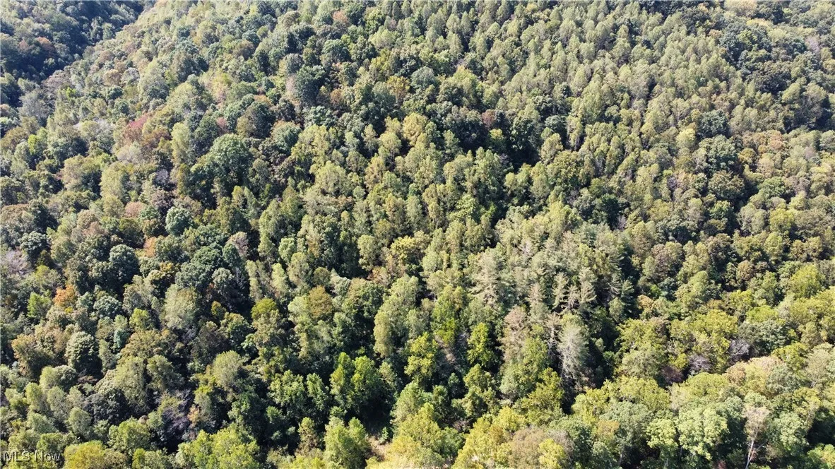 Aerial view of property's location