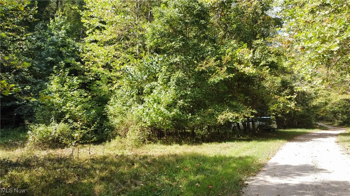 View of dirt / gravel road