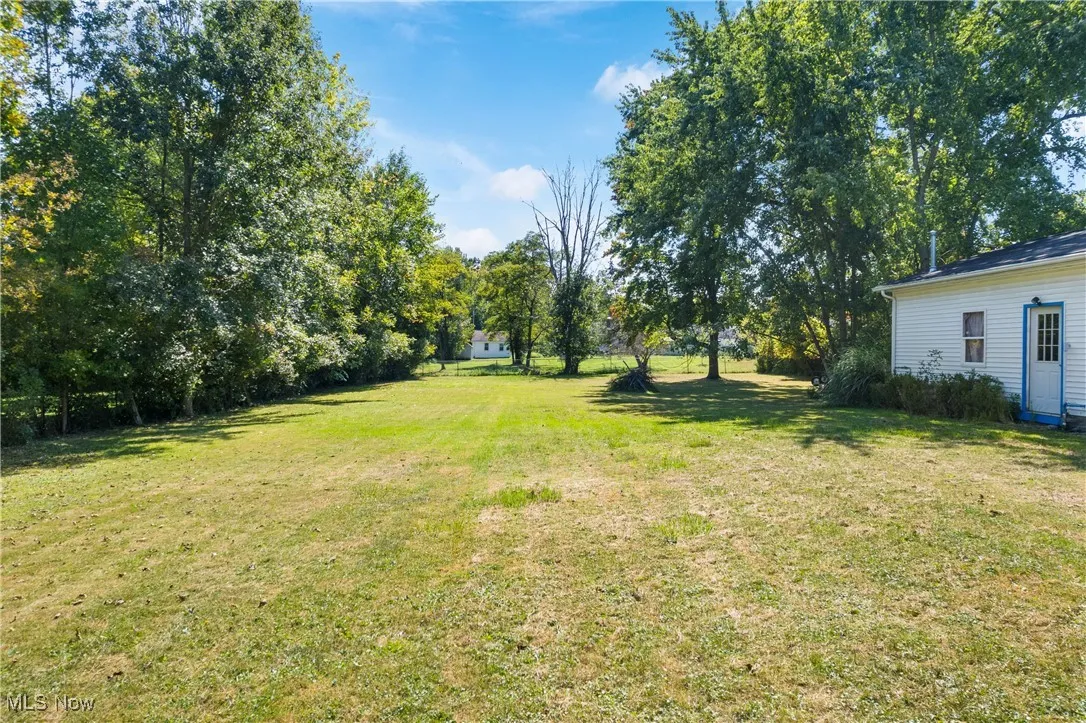 View of grassy yard