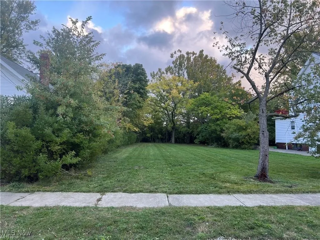 View of green lawn featuring view of wooded area