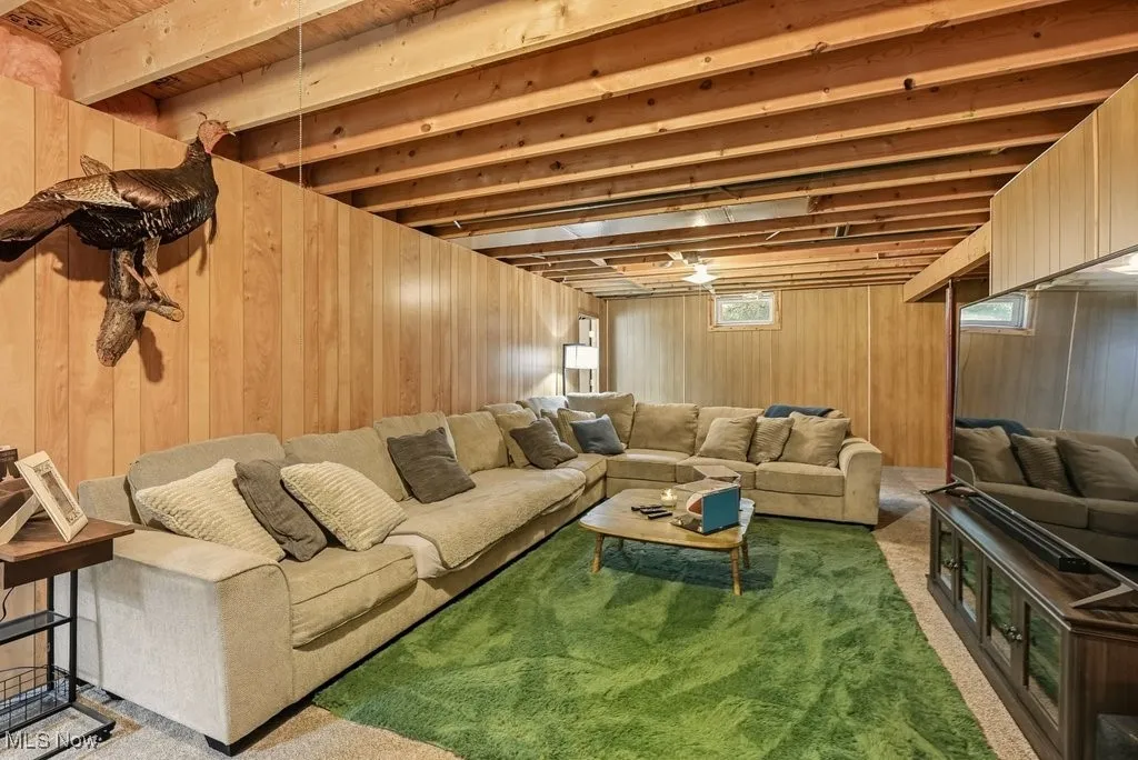 Living room with carpet, healthy amount of natural light, and wooden walls
