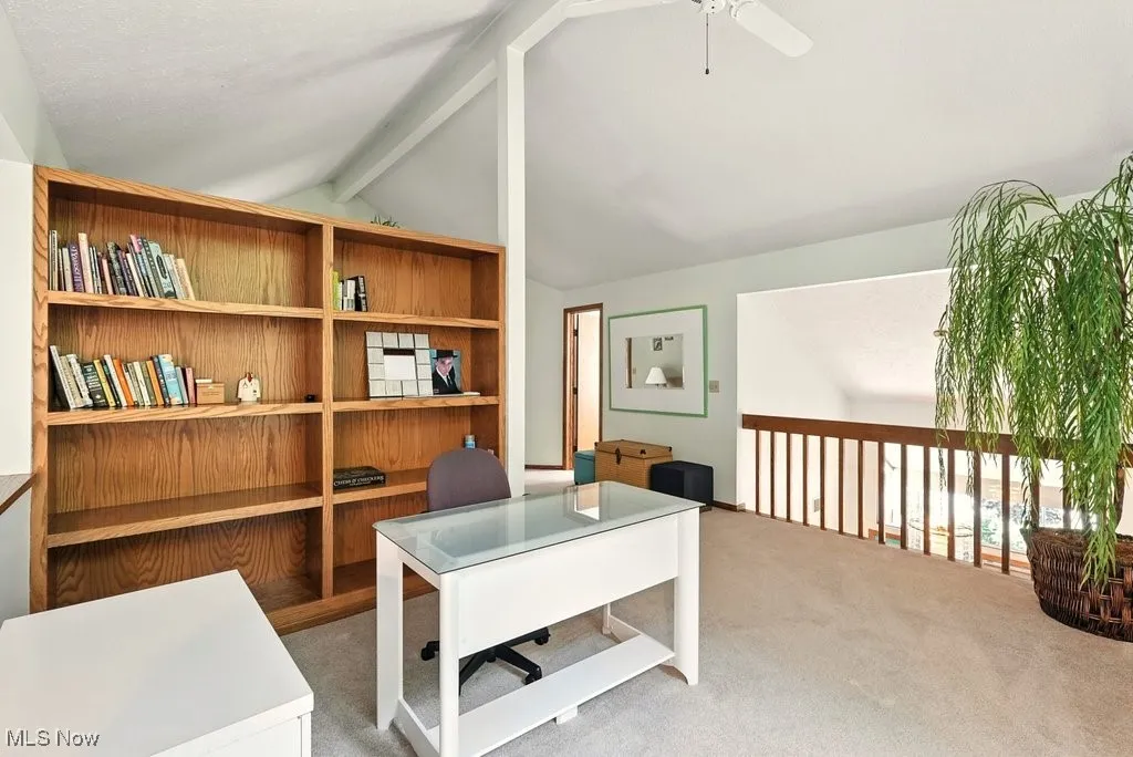 Office area with light colored carpet and a ceiling fan
