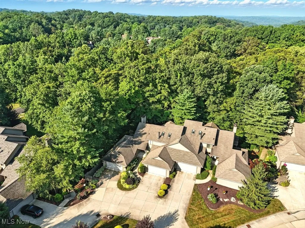 Aerial overview of property's location featuring a forest