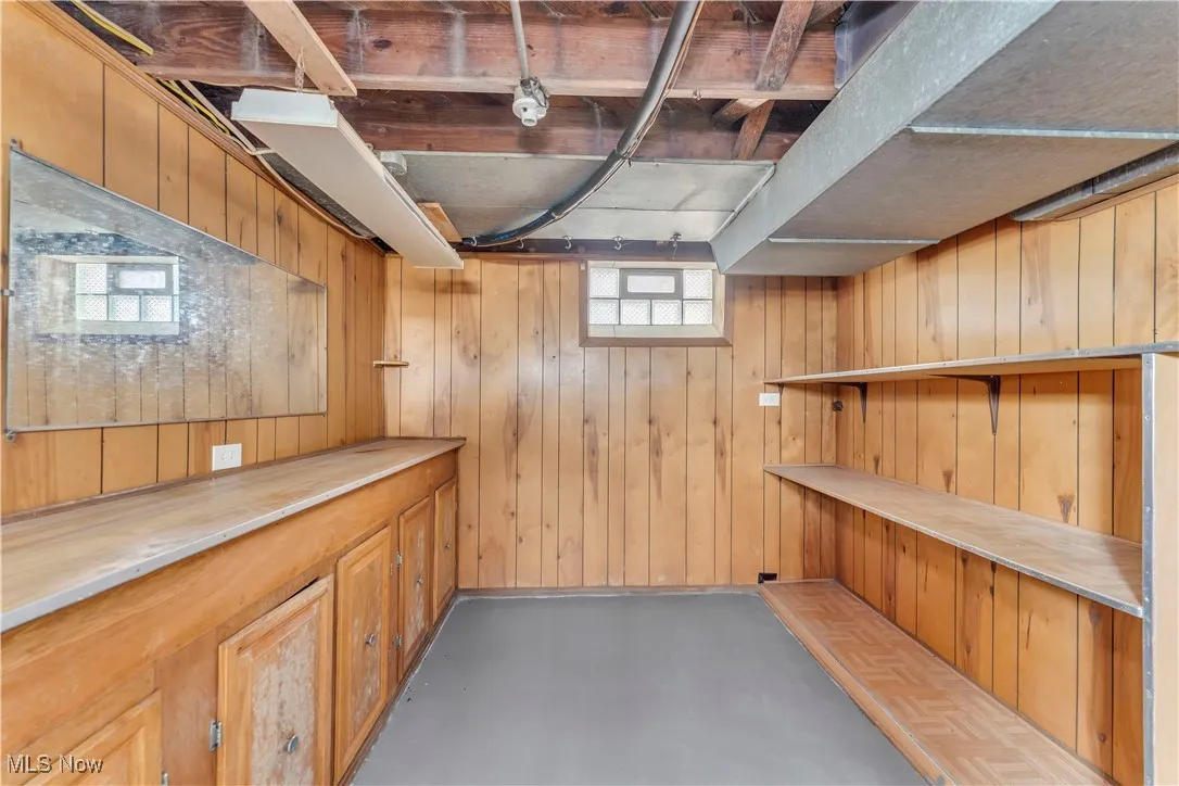 Basement featuring wood walls