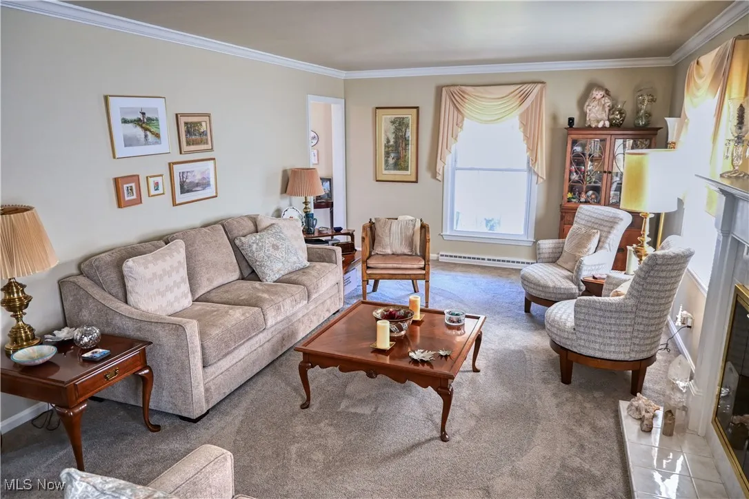 Living area with crown molding, a fireplace, baseboard heating, and carpet floors