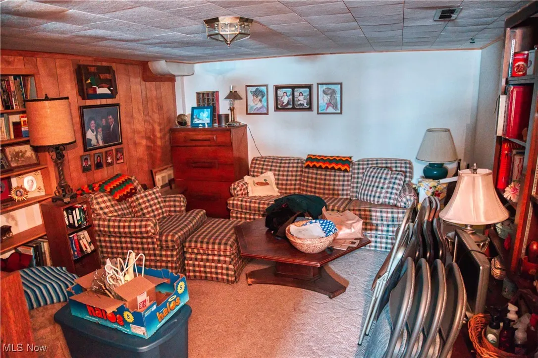 Basement Living area with carpet and wood walls