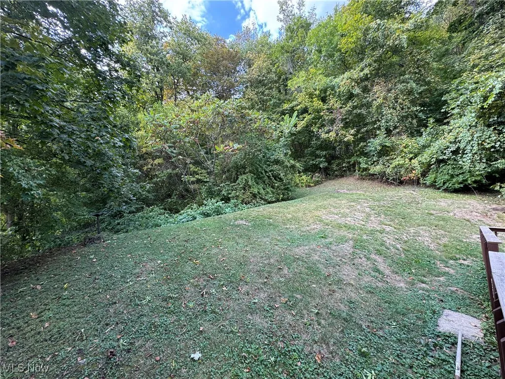 View of grassy yard