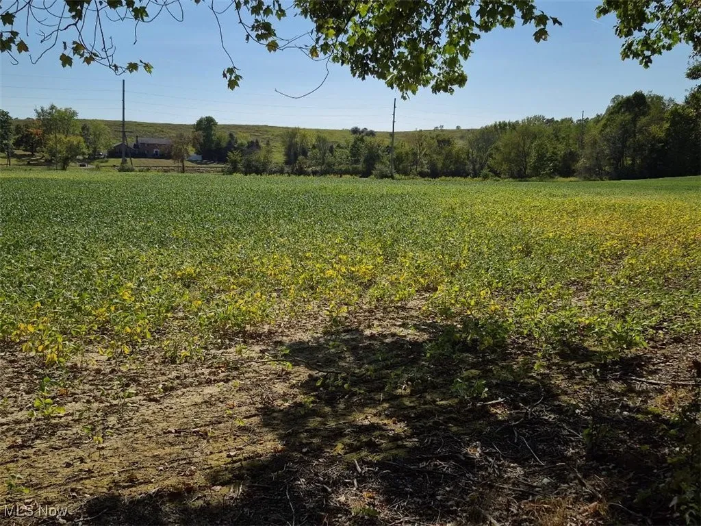 View of yard featuring a rural view