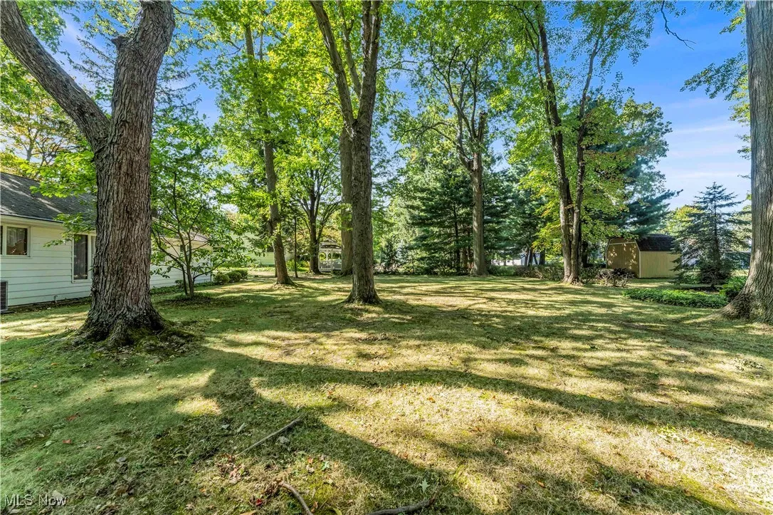 View of green lawn featuring view of wooded area