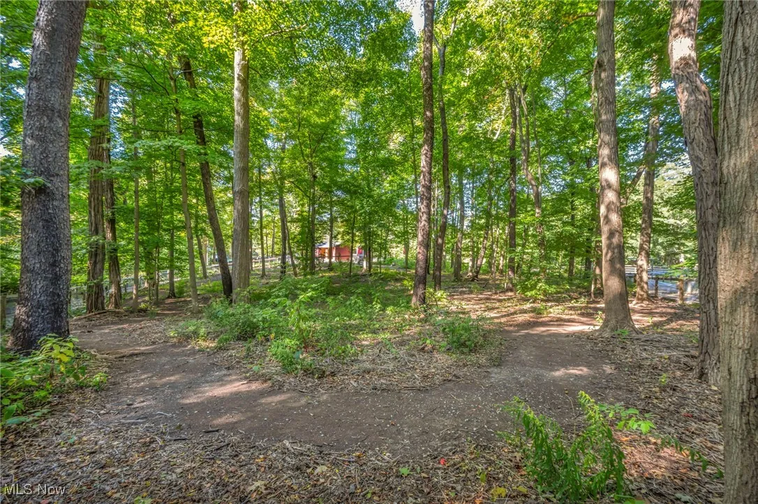 View of Riding/Training Path